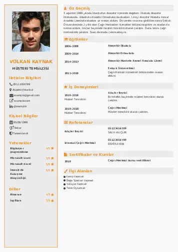 cv indir